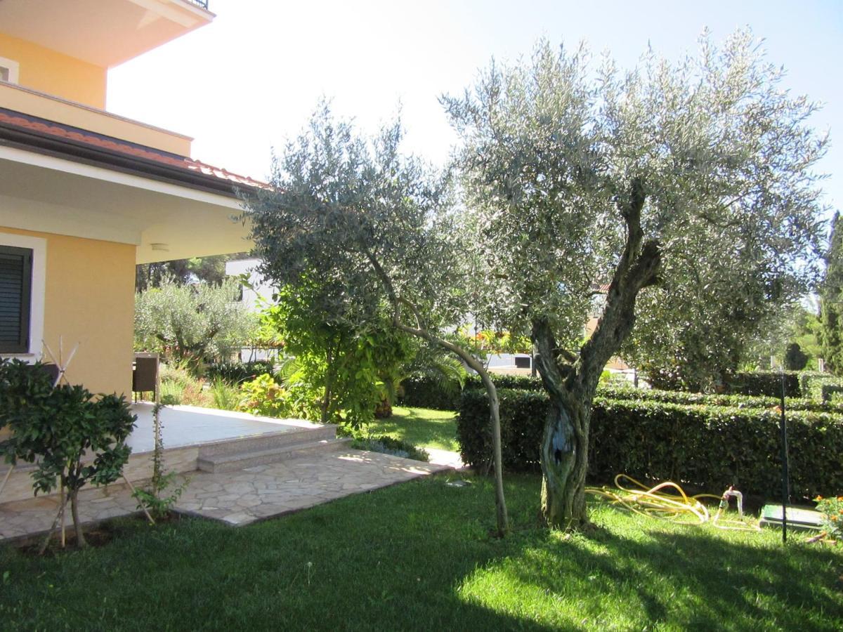 Villa Ema Rovinj Extérieur photo
